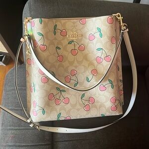 Pink cherry bucket coach bag